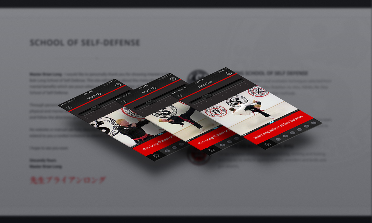 Bob Long School of Self Defense — Image 3